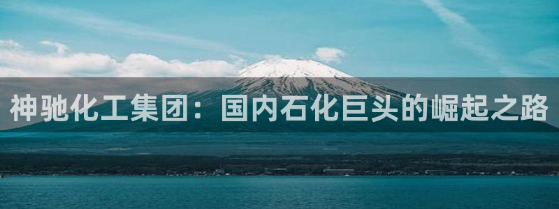 球盟会进不去