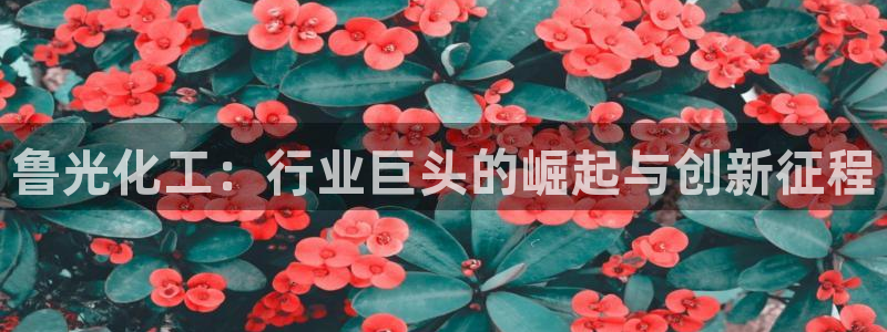 球盟会黑款吗知乎文章