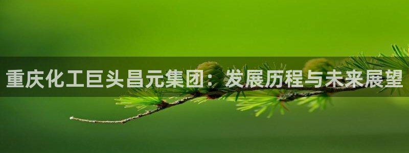 球盟会能提现吗安全吗