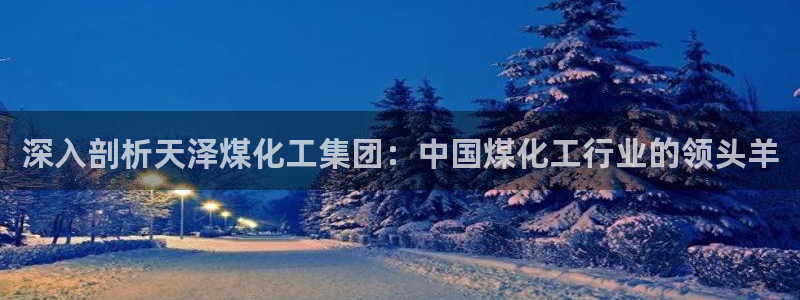 球盟会官方网址入口