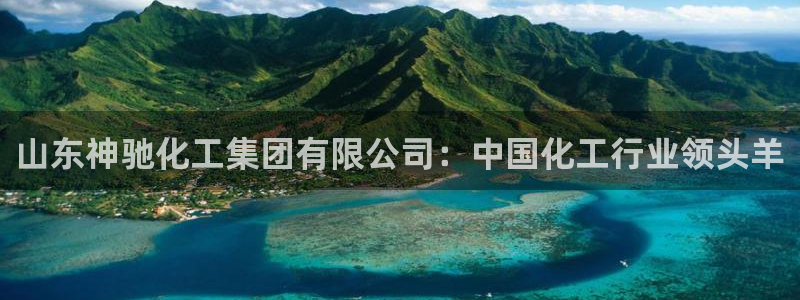 球盟会类似的网站：山东神驰化工集团有限公司：中国化工行业领头