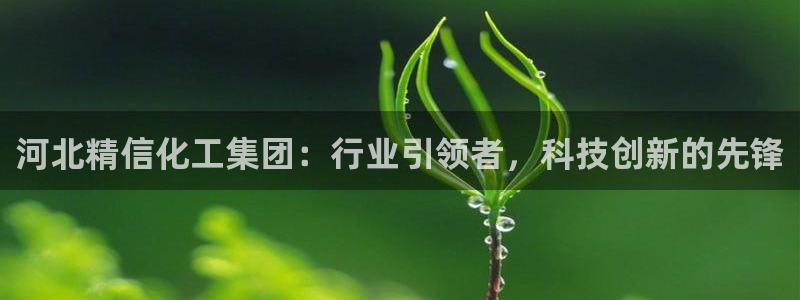 球盟会APP官网