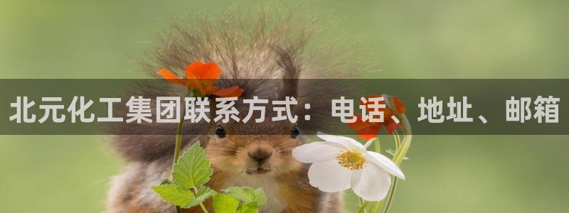 球盟会有限公司怎么样