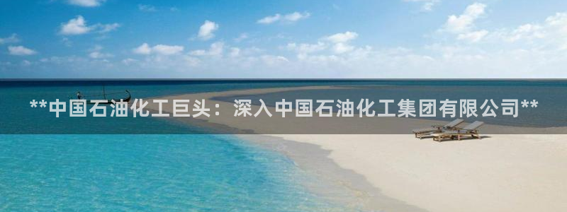 球盟会黑款吗是真的吗：**中国石油化工巨头：深入中国石油化工