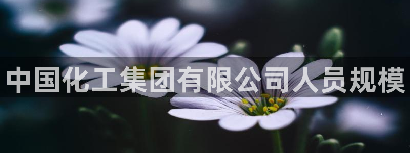 球盟会qm