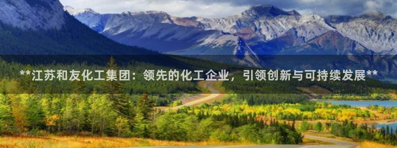 球盟会登陆入口：**江苏和友化工集团：领先的化工企业，引领创