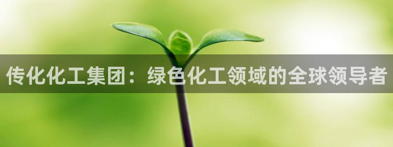 球盟会下载最新版：传化化工集团：绿色化工领域的全球领导者