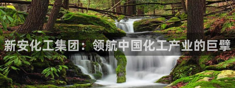 球盟会qm8597