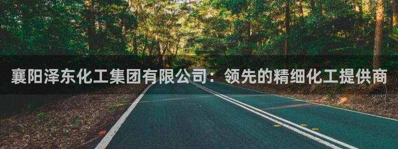 球盟会进不去球员吗：襄阳泽东化工集团有限公司：领先的精细化工