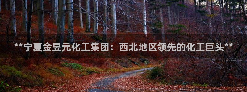 球盟会登陆：**宁夏金昱元化工集团：西北地区领先的化工巨头*