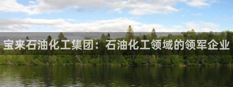 球盟会封号：宝来石油化工集团：石油化工领域的领军企业