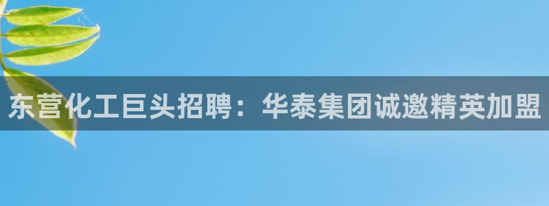 球盟会下款快吗