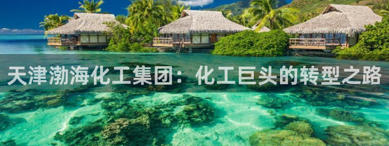 球盟会官方app首页入口