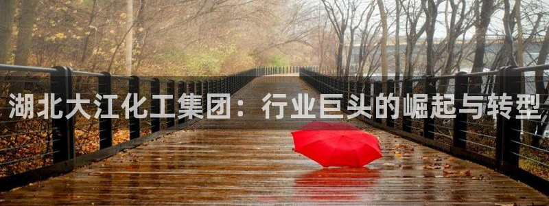 球盟会游戏