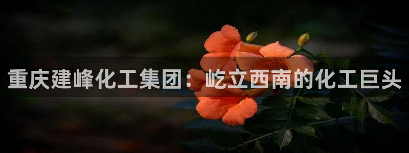 球盟会app最新地址在哪里