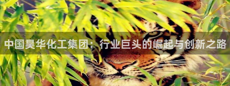 球盟会在线官网