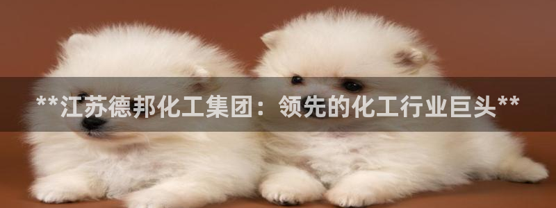 球盟会手机网页版：**江苏德邦化工集团：领先的化工行业巨头*