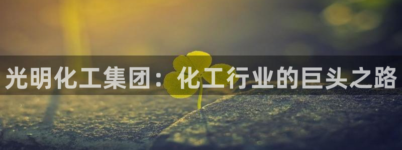 球盟会黑台