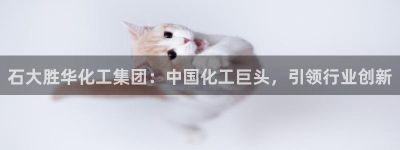 球盟会登录平台入口：石大胜华化工集团：中国化工巨头，引领行业
