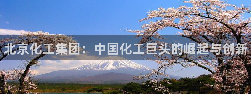球盟会连接