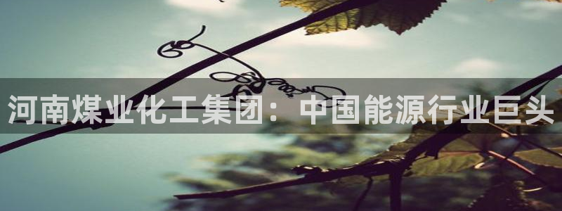 球盟会APP官网：河南煤业化工集团：中国能源行业巨头