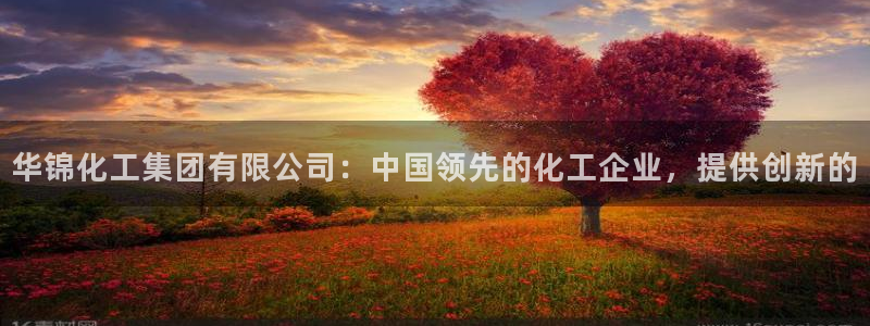 球盟会最新活动：华锦化工集团有限公司：中国领先的化工企业，提