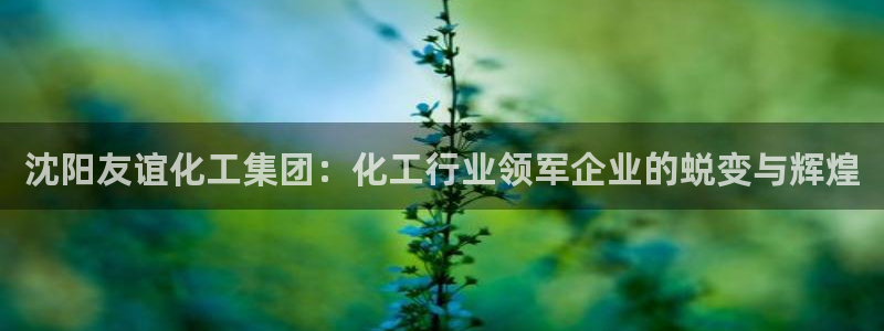 球盟会APP下载