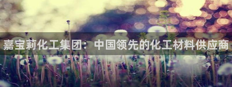 球盟会qmh网址：嘉宝莉化工集团：中国领先的化工材料供应商