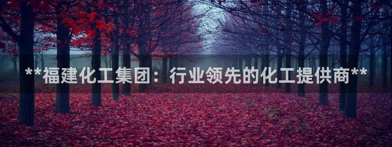 球盟会官方入口：**福建化工集团：行业领先的化工提供商**