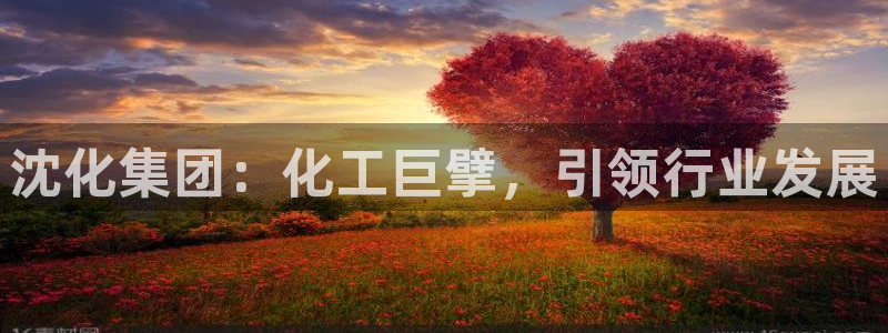 球盟会官方登录平台：沈化集团：化工巨擘，引领行业发展