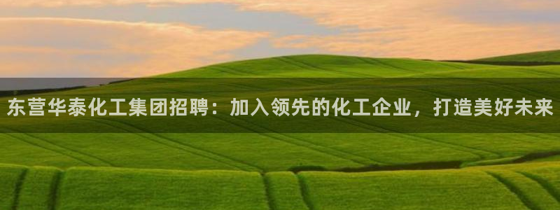 球盟会app最新地址在哪看：东营华泰化工集团招聘：加入领先的