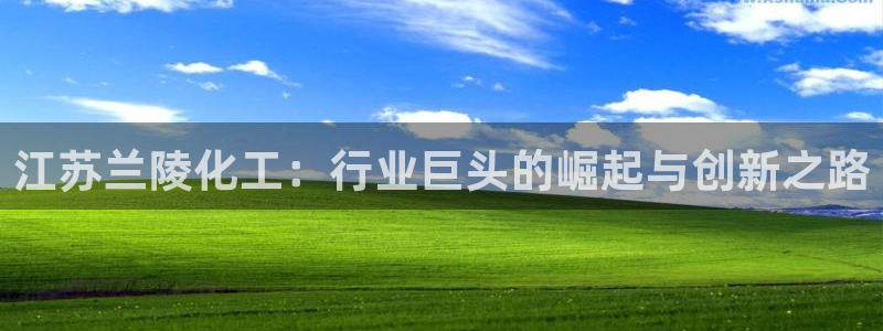球盟会电子
