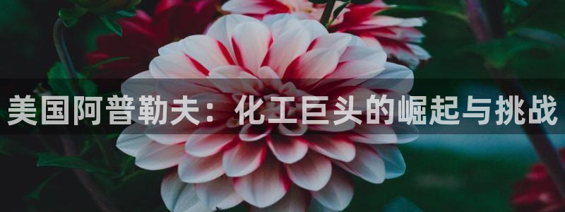 球盟会优惠码