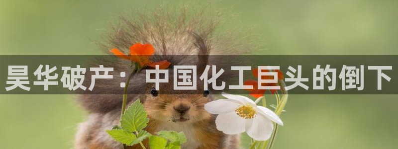 球盟会贴吧