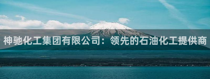 球盟会App：神驰化工集团有限公司：领先的石油化工提供商