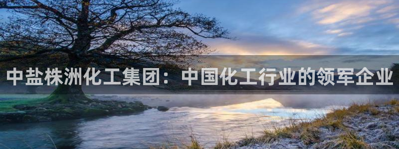 球盟会和中欧