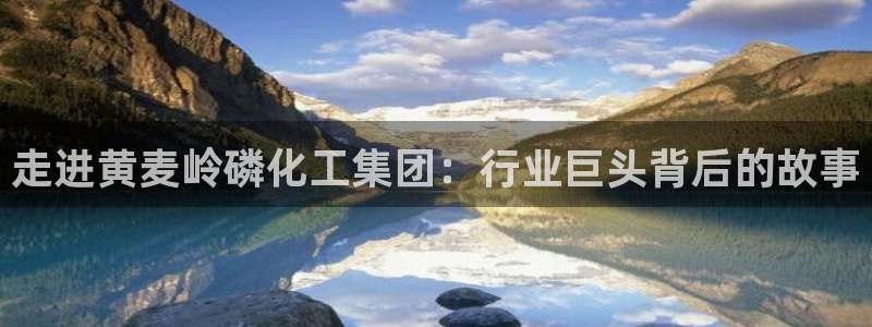 球盟会app网址多少号