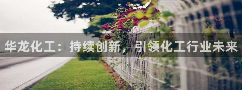 球盟会qm9