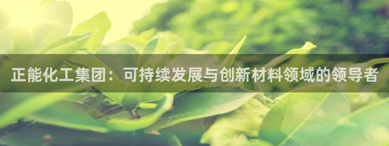 球盟会里面有打牌的嘛：正能化工集团：可持续发展与创新材料领域