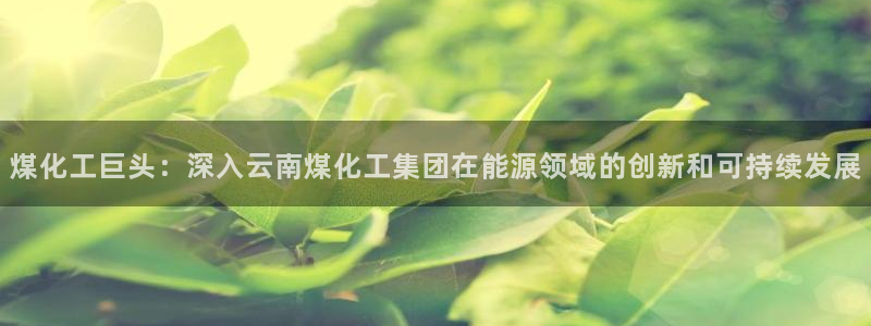 球盟会登录入口：煤化工巨头：深入云南煤化工集团在能源领域的创