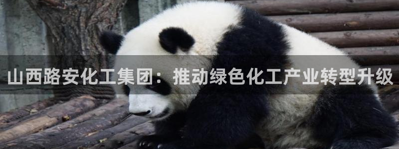 球盟会官方网站app
