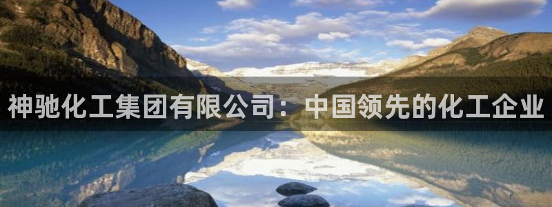 球盟会论坛：神驰化工集团有限公司：中国领先的化工企业