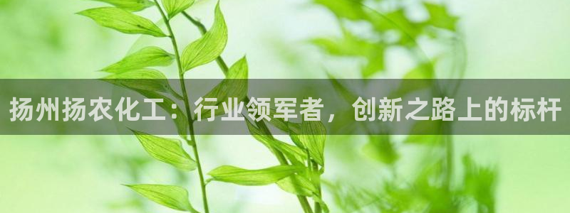 球盟会app最新地址在哪找