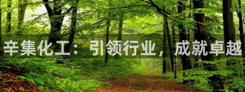 球盟会可靠不
