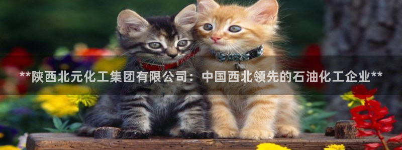 球盟会综合体育平台怎么样：**陕西北元化工集团有限公司：中国
