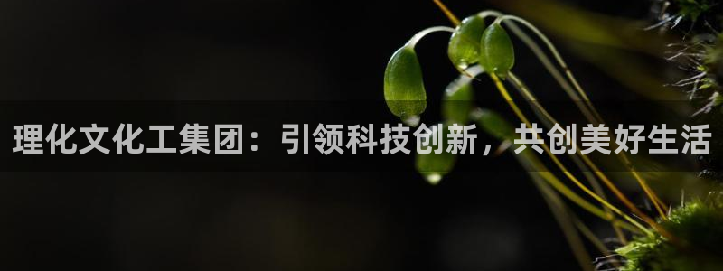 球盟会官方网站入口