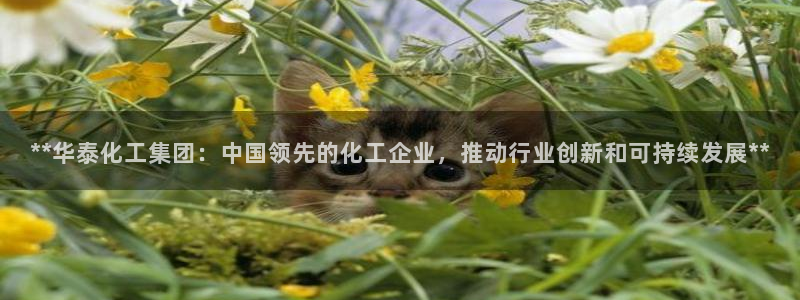 球盟会电子好下吗：**华泰化工集团：中国领先的化工企业，推动