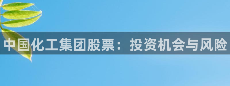球盟会用的客服聊天是哪个软件