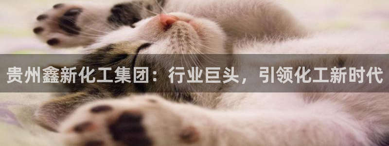 球盟会官方网址入口