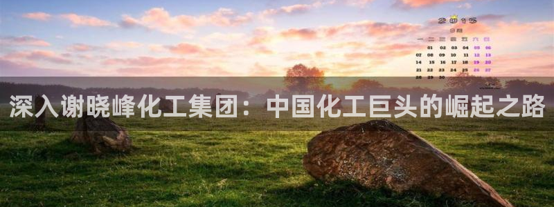 球盟会黑款吗